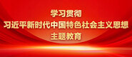 嫩穴视频软件学习贯彻习近平新时代中国特色社会主义思想主题教育_fororder_ad-371X160(2)